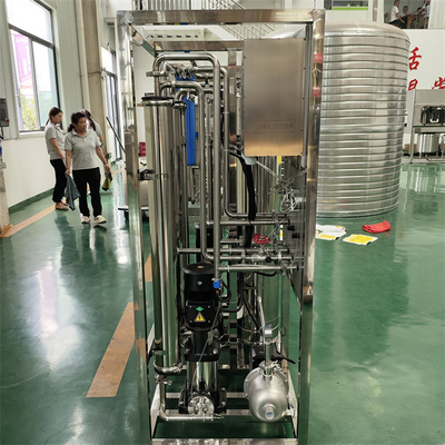 250LPH RO-Wasserreinigungssystem Industrielle Umkehrosmose-Wasserreinigungsmaschine
